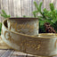 LISTON 4'' X 10 YD TERCIOPELO PLATINUM CON ORO MERRY CHRISTMAS