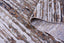Zuria 1020C - Beige Dorado