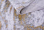 Amira 1025C - Dorado Gris