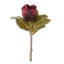 Magnolia cerrada burg 43 cms - k