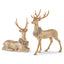 Set de 2 venados oro con corona 41 cms