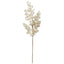 Vara eucalipto  champagne 66 cms - k