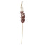 Foxtail burgundy 86 cms - k