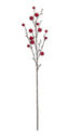 Tallo de vainas rojas 104 cms