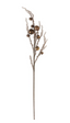 Rama Jingle Bell cafe 91.5 cms