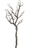 Rama de Arbol cafe 91.5 cms