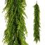 Norfolk Pine Garland -  183 cms