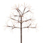 Starbust pick cafe 52 cms - r