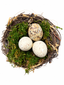Nido natural 13 cms