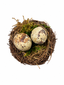Nido natural 8 cms