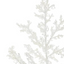 Rama Blanca larga joyas cristalizada 61 cms