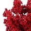 Bouquet de mini berries rojas foam 27 cms