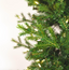 Pino verde tipo lápiz 6.5 ft LUZ LED (198 cms)