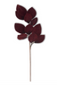 Hoja de Magnolias Burgundy Velvet 84 cms