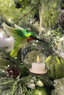 Esfera traslucida vidrio con vela  13 cms