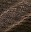 Cornerstone 8A22F  - Brown