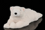 Oso Polar bebe acostado