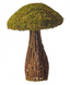 Moss/twig  mushroom