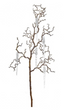 Vara c/hielo de acrilico  112 cms - re