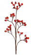 Berry Pick  38 cms - re