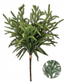 Pino norfolk  ‘Real Touch’ 43 cms - re