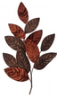 Hojas magnolias velvet cafe  66 cms - re