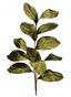 Hojas magnolias metalizadas verde 94 cms - re