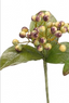 Berry pick amarillo 20 cms