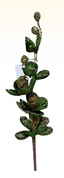 Magnolia Verde Cristalizada 86 cms - ab