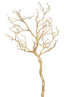 Manzanita branch gold 91 cms - v