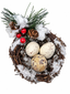 Nido Nevado 15 cms