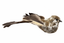 Pajarito Cafe 17 cms